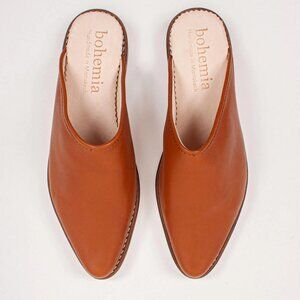 Sleek Brown Leather Mules with Pointed Toe